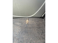 Renault - 2004 - trafic - bestelwagen - personenauto - afbeelding 17 van  30