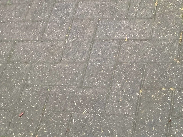 Renault - wind - n - car - 2010 - afbeelding 4 van  32