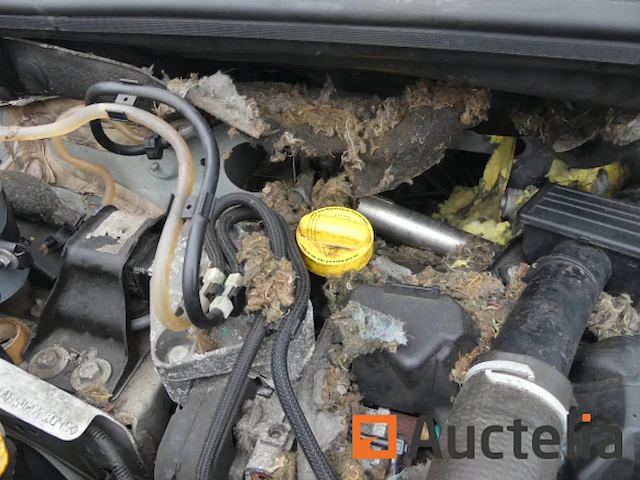 Renault kangoo bedrijfswagen (2010-97.280 km)[9430-009] - afbeelding 1 van  36