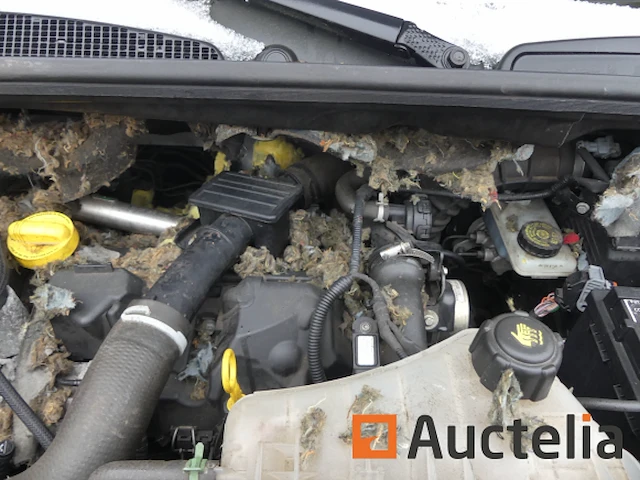 Renault kangoo bedrijfswagen (2010-97.280 km)[9430-009] - afbeelding 12 van  36