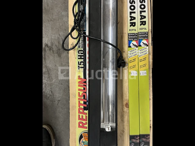 Reptielen verlichting - afbeelding 1 van  3