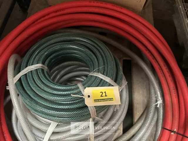 Resten darm - afbeelding 2 van  3