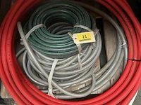 Resten darm - afbeelding 3 van  3