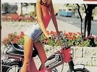 Retrolook sierbord - afbeelding 1 van  1
