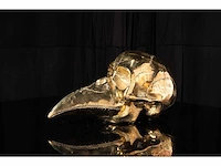 Reus "half man & half bird" - 35 x 15 x 17 cm - limited edition - certificaat