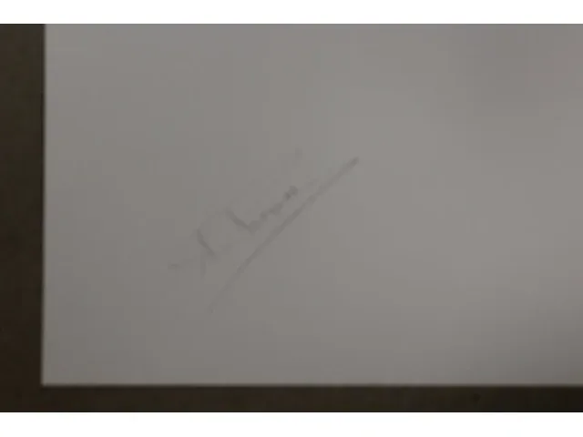 Ria pacquée - gesigneerde editie - afbeelding 2 van  3