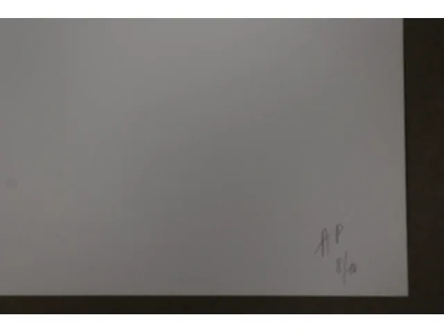 Ria pacquée - gesigneerde editie - afbeelding 3 van  3