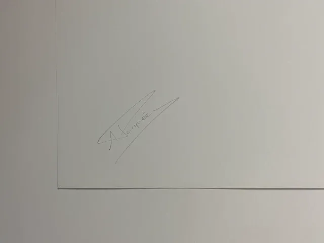 Ria pacquée - gesigneerde editie - afbeelding 2 van  2