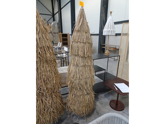 Rieten boom - afbeelding 1 van  2