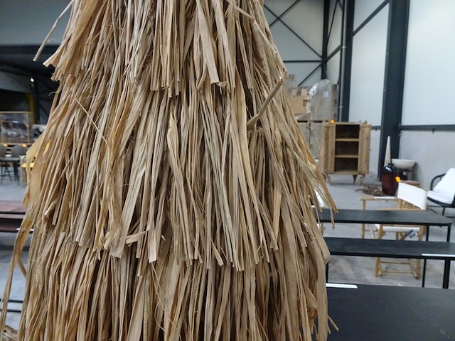 Rieten boom - afbeelding 2 van  2