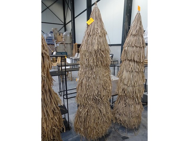 Rieten boom - afbeelding 1 van  1