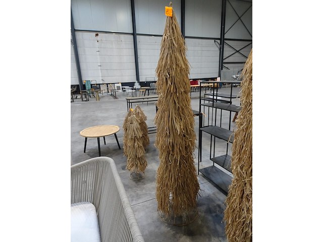 Rieten boom - afbeelding 1 van  2