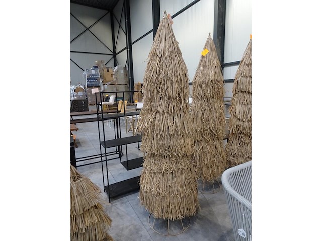 Rieten boom - afbeelding 2 van  2