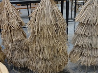 Rieten boom - afbeelding 1 van  1