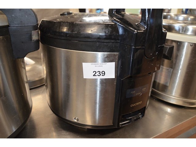 Rijstkoker cuckoo - afbeelding 1 van  4