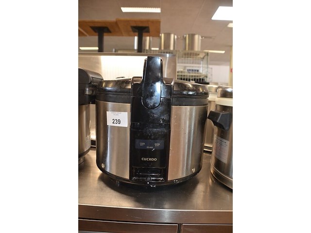 Rijstkoker cuckoo - afbeelding 2 van  4