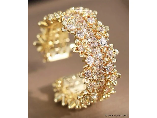 Ring - afbeelding 1 van  1