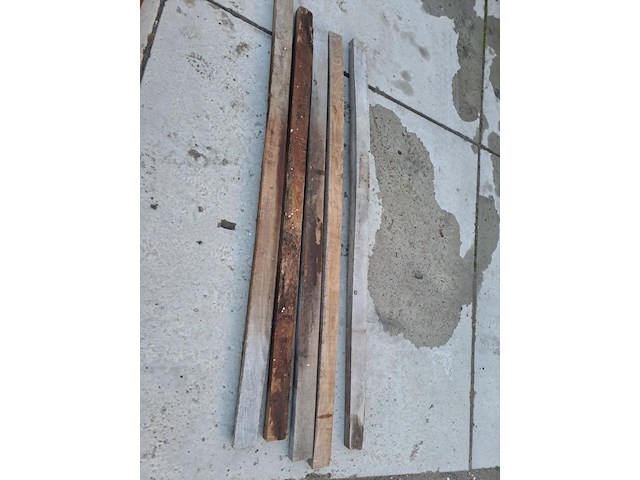 Robinia - afbeelding 1 van  1