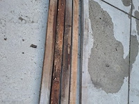 Robinia - afbeelding 1 van  1