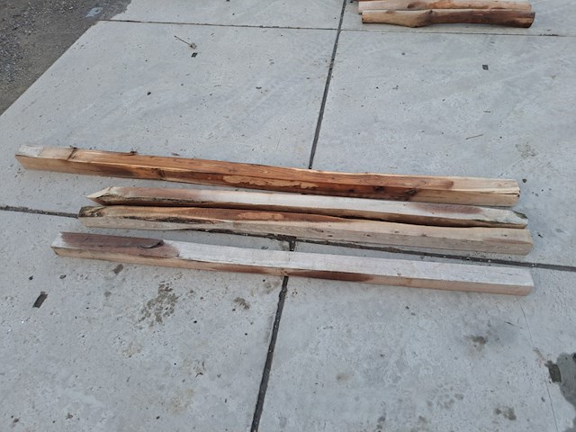 Robinia - afbeelding 1 van  2