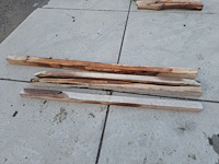 Robinia - afbeelding 1 van  2