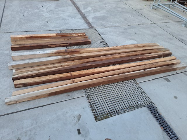 Robinia - afbeelding 2 van  2