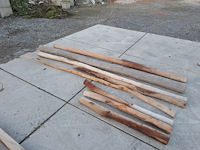 Robinia - afbeelding 1 van  1