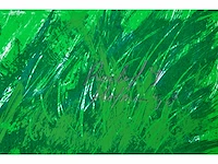 Roelof hofman - afbeelding 3 van  6