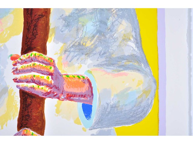 Roger raveel - de eeuwigdurende optocht - zeefdruk - 1/130 - afbeelding 6 van  9