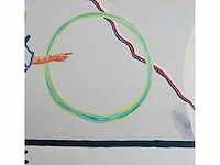 Roger raveel - de schepping van de cirkel - offset - afbeelding 3 van  5
