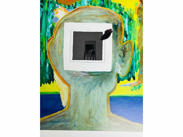 Roger raveel - de slechte collectioneur - offset - afbeelding 5 van  9