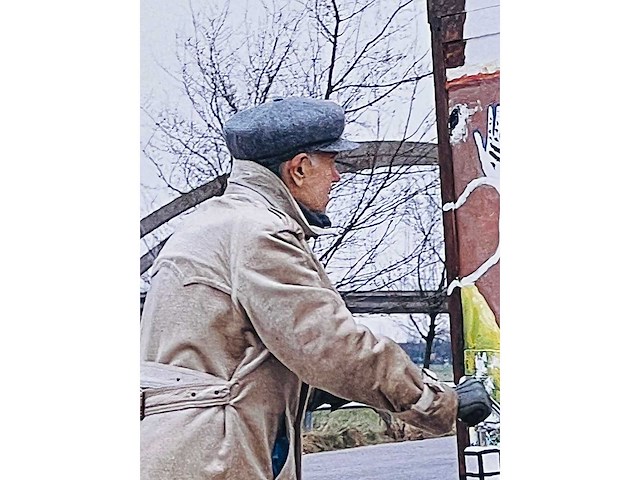 Roger raveel - de zin van het zinloze - offset - afbeelding 9 van  12