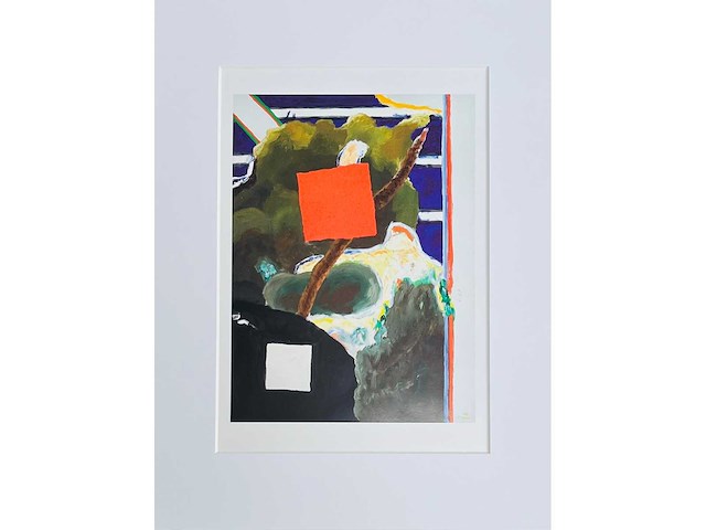 Roger raveel - een gelukkige dag - offset - afbeelding 11 van  13