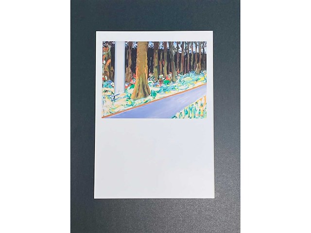 Roger raveel - het bos - offset - afbeelding 13 van  14