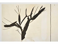 Roger raveel - mens en boom - offset - afbeelding 5 van  5
