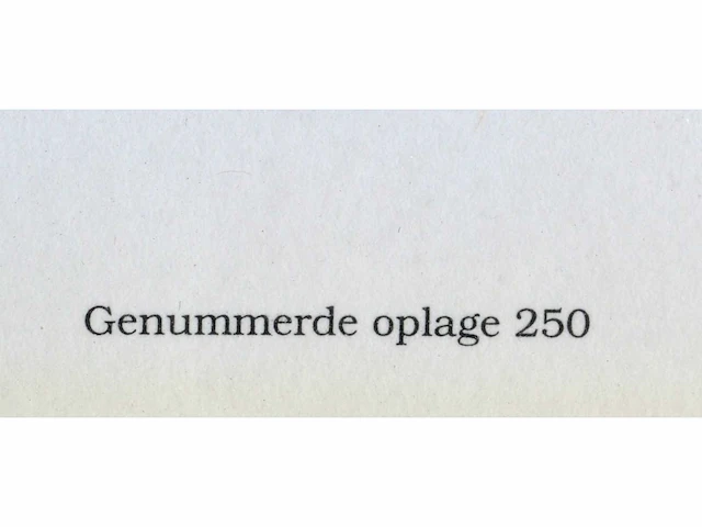 Roger raveel - zelfportret in tegenlicht - offset en postzegel - afbeelding 6 van  7