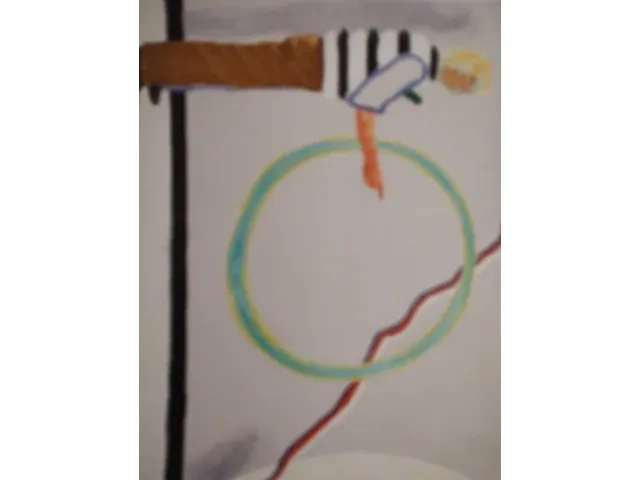 Roger raveel de schepping van de cirkel - afbeelding 2 van  5