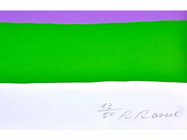Roger raveel (machelen, 1921-2013) - bijgewerkt - afbeelding 3 van  7