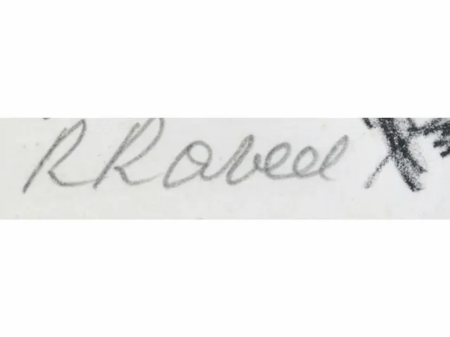 Roger raveel (machelen, 1921-2013) - afbeelding 2 van  4