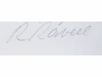 Roger raveel (machelen 1921-2013) - afbeelding 3 van  7