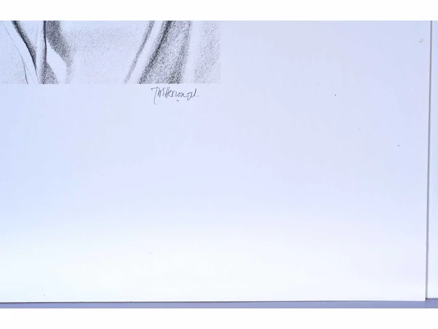 Roger wittevrongel - decolleté - zeefdruk - afbeelding 3 van  9