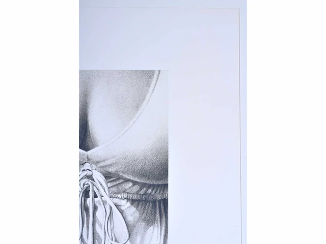 Roger wittevrongel - decolleté - zeefdruk - afbeelding 5 van  9