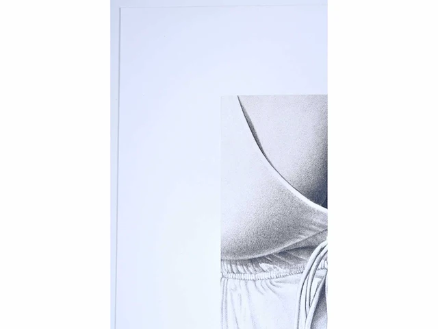 Roger wittevrongel - decolleté - zeefdruk - afbeelding 6 van  9
