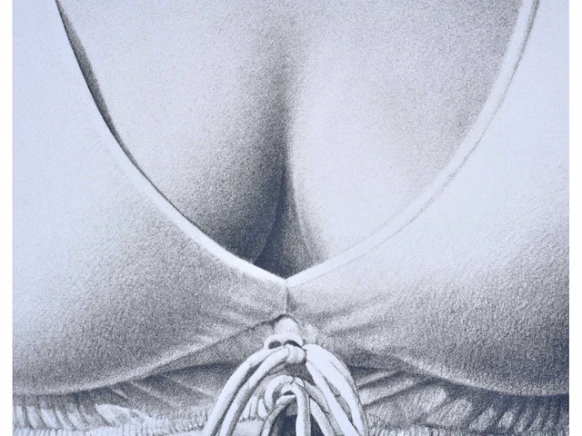 Roger wittevrongel - decolleté - zeefdruk - afbeelding 7 van  9