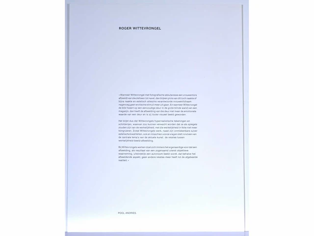 Roger wittevrongel - decolleté - zeefdruk - afbeelding 9 van  9