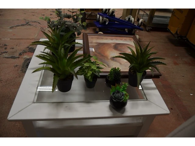 Rolbijzetzeteltje grijs imitatie leder (licht beschadigd), vierkandite bijzettafeltje wit hout glazen blad, 7 kunstof plantjes, 2 wandversieringen in kader - afbeelding 9 van  10