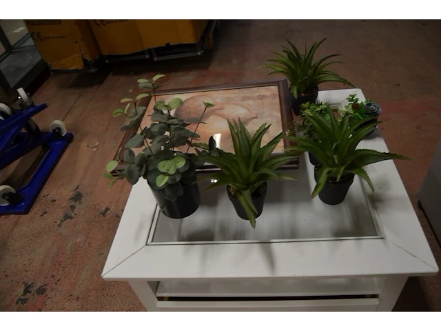 Rolbijzetzeteltje grijs imitatie leder (licht beschadigd), vierkandite bijzettafeltje wit hout glazen blad, 7 kunstof plantjes, 2 wandversieringen in kader - afbeelding 10 van  10