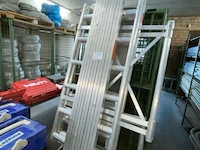 Rolsteiger altus - afbeelding 6 van  13
