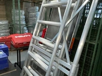 Rolsteiger altus - afbeelding 9 van  13