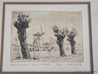 Romain malfliet - afbeelding 2 van  2